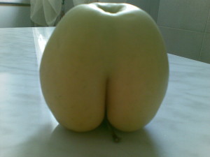 apple evade
