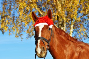 il Natale