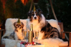 odiare il capodanno