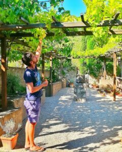 Giardino dei semplici