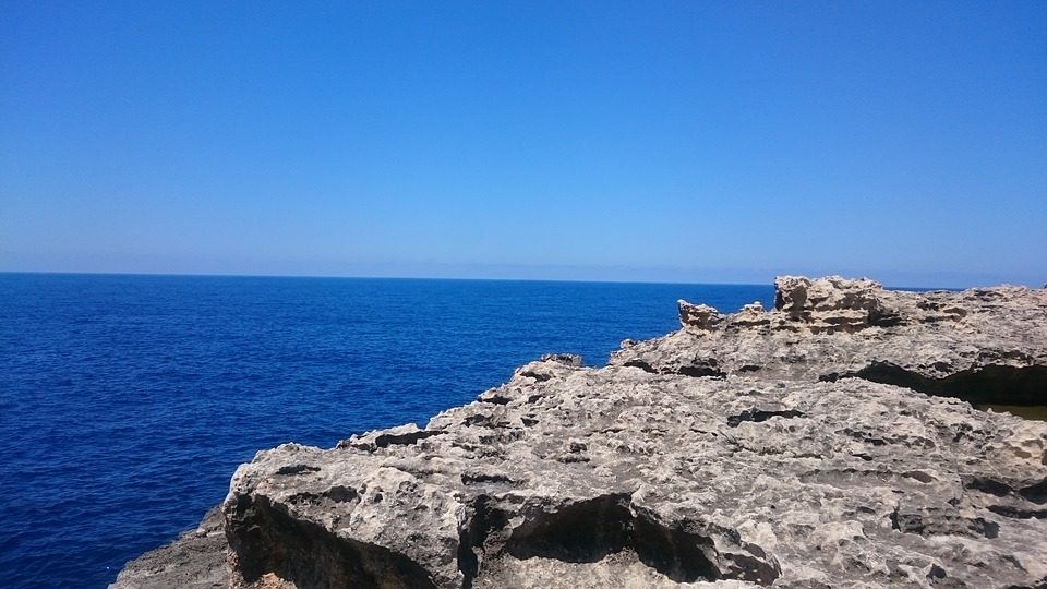 mare maltese