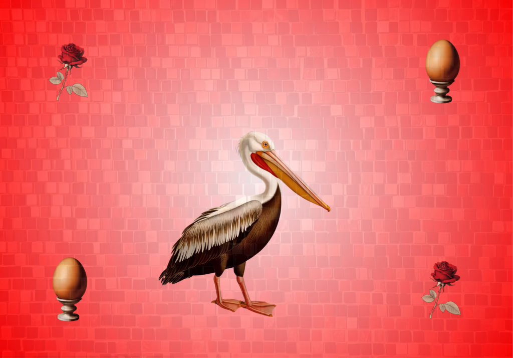Pelican, strange animal